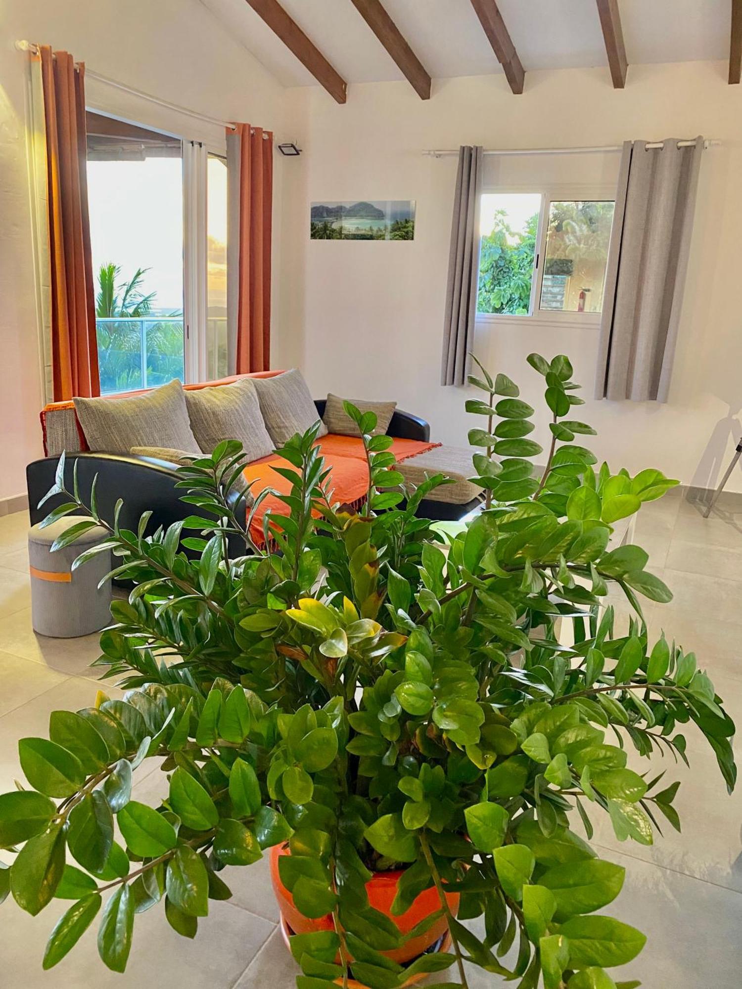 Les Villas Pameyaque 2 F2 Avec 1 Piscine Et 1 F3 Avec 1 Piscine, Superbe Vue Sur La Mer Riviere-Salee 외부 사진